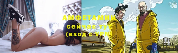 дживик Бородино