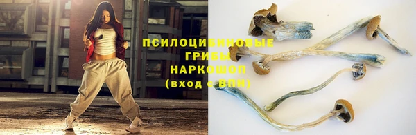 спиды Покачи