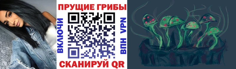 Галлюциногенные грибы мицелий  blacksprut   Кедровый 
